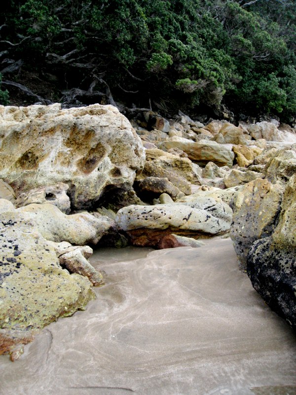 NZ Coromandel photo 34