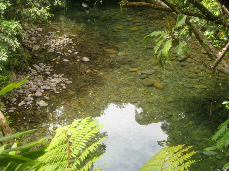 Clear water
