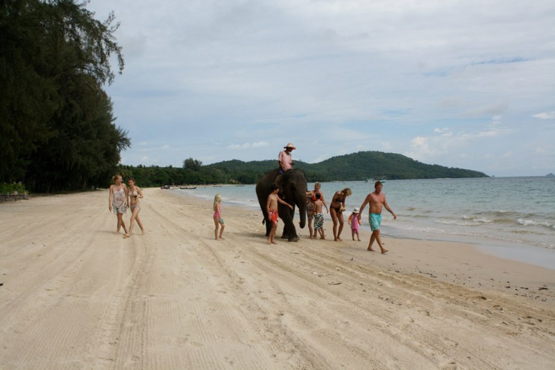 An elephant on the BEACH!!