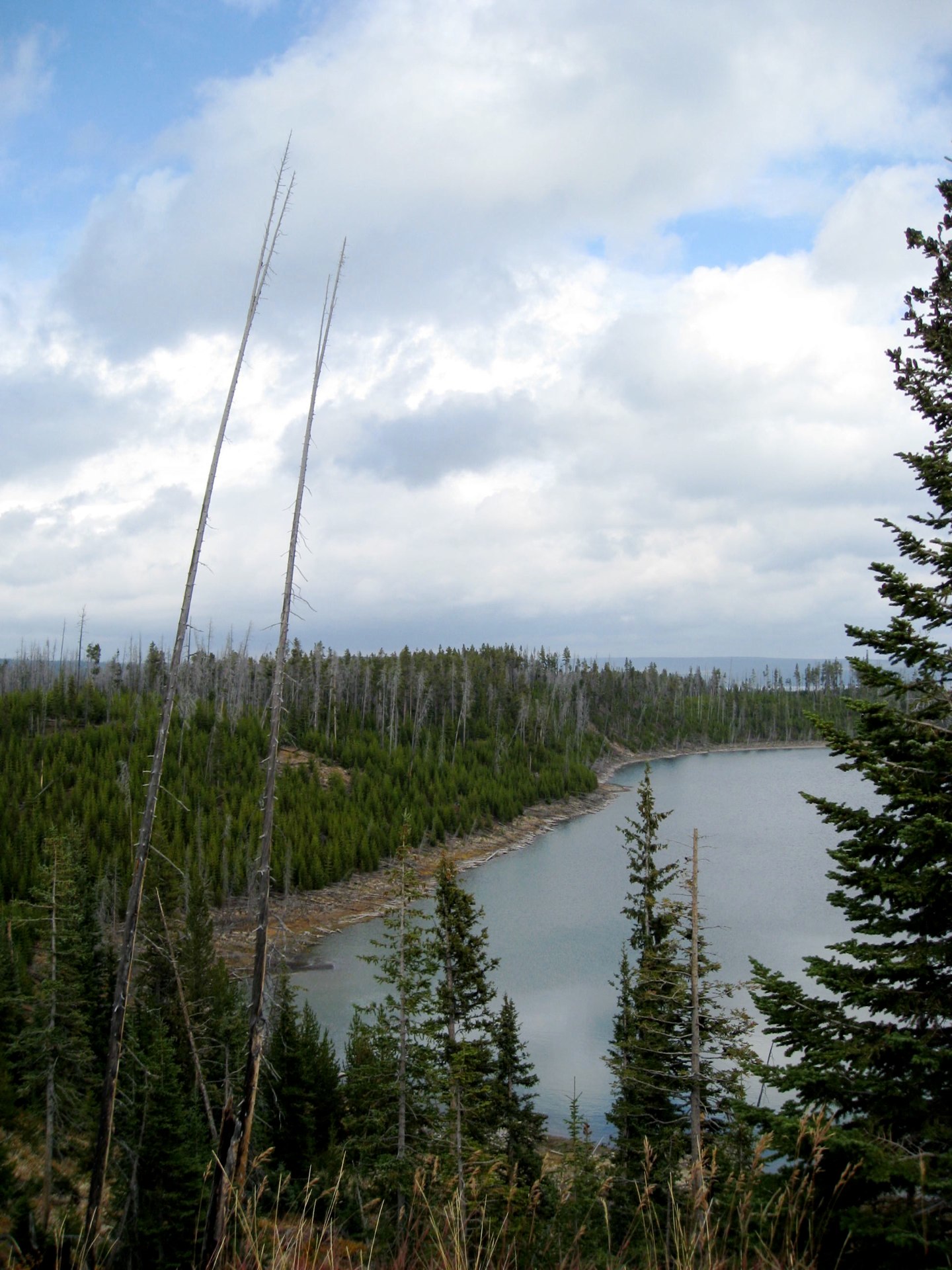 Montana photo 58