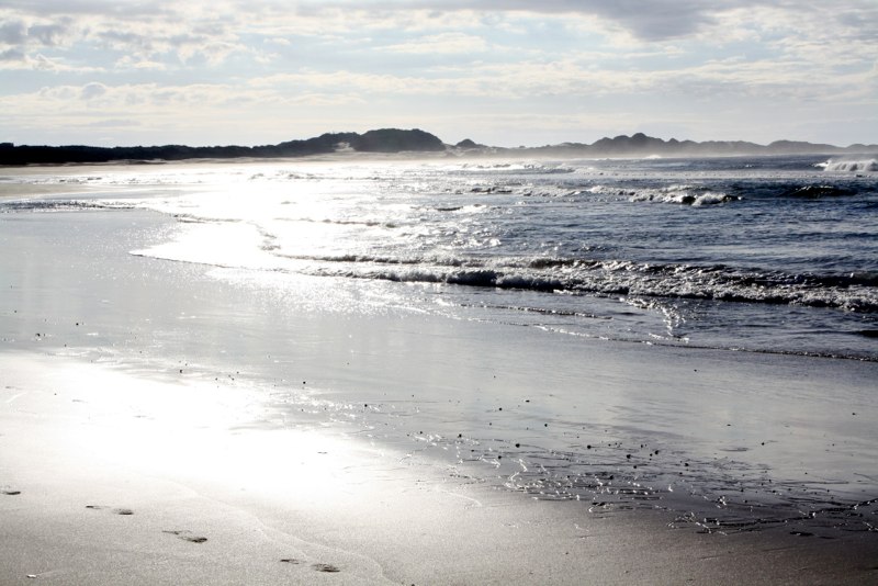 Garden Route photo 18