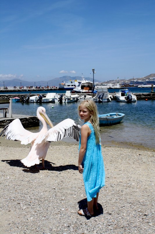 Ahhh a pelican on the beach
