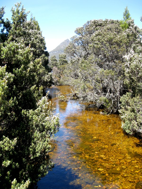 AUS-Tasmania photo 42