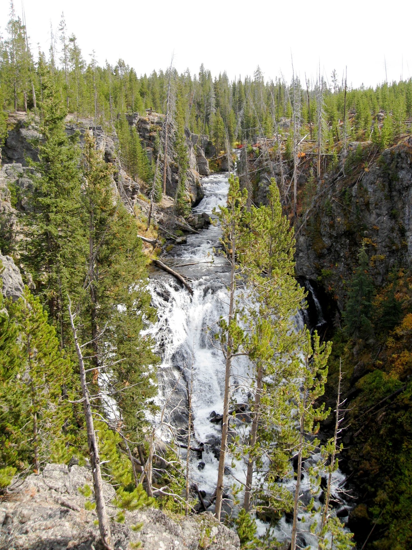 Montana photo 59