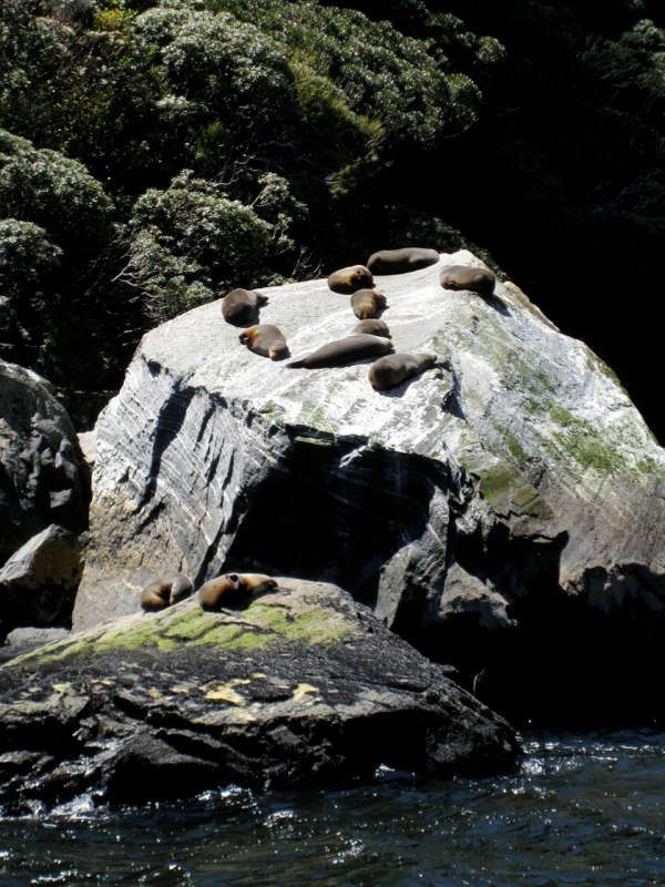 Seals