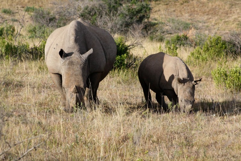 Mom and little kid