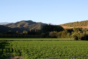 Beautiful South Africa