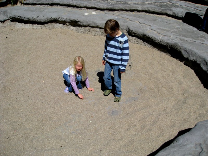 Looking for fossils