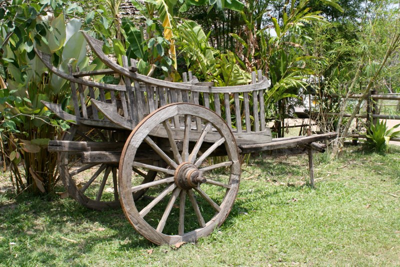 Chiang Mai photo 55