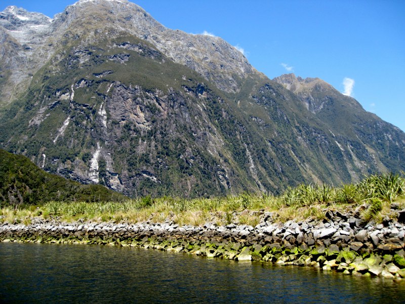 NZ Queenstown &Milford sounds photo 62