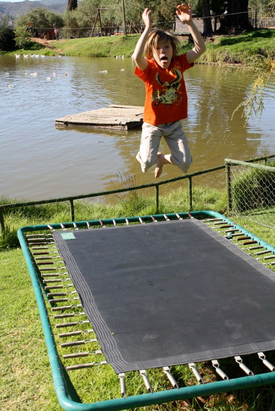 Garden Route photo 89
