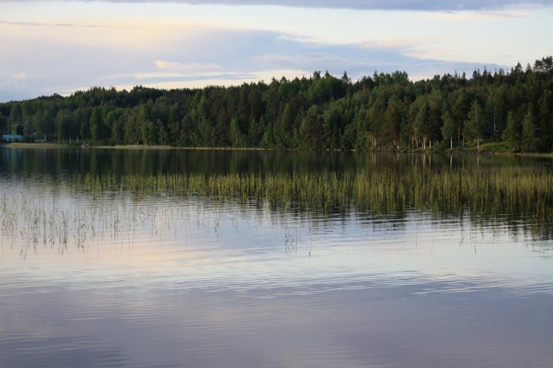 Sweden 2 photo 48