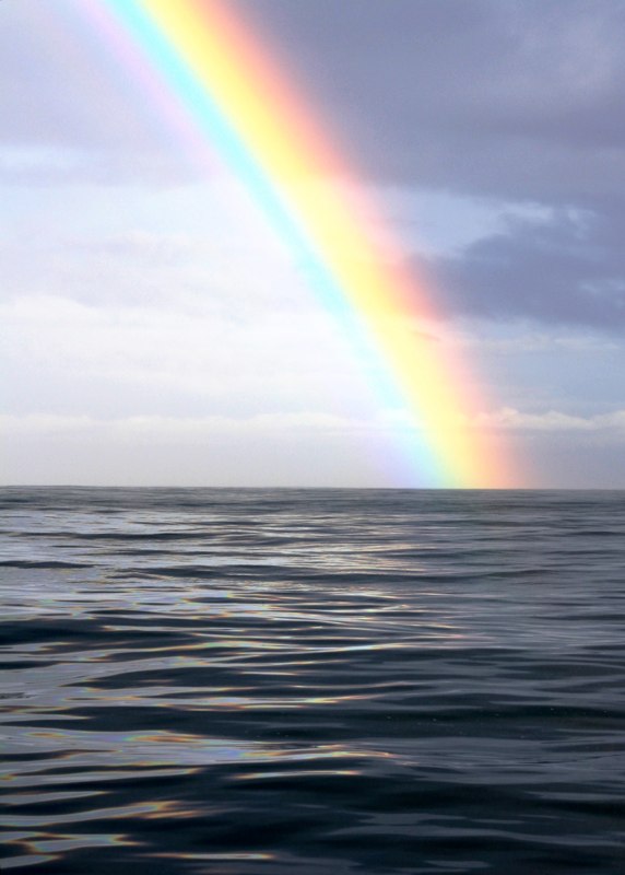 Rainbow In Gansbaai