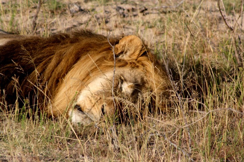 Eastern Cape photo 25