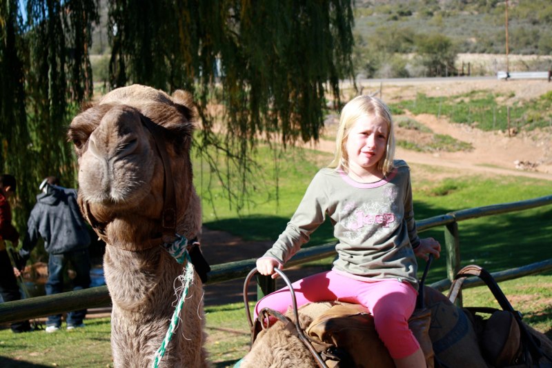 NOO I don’t want to ride..