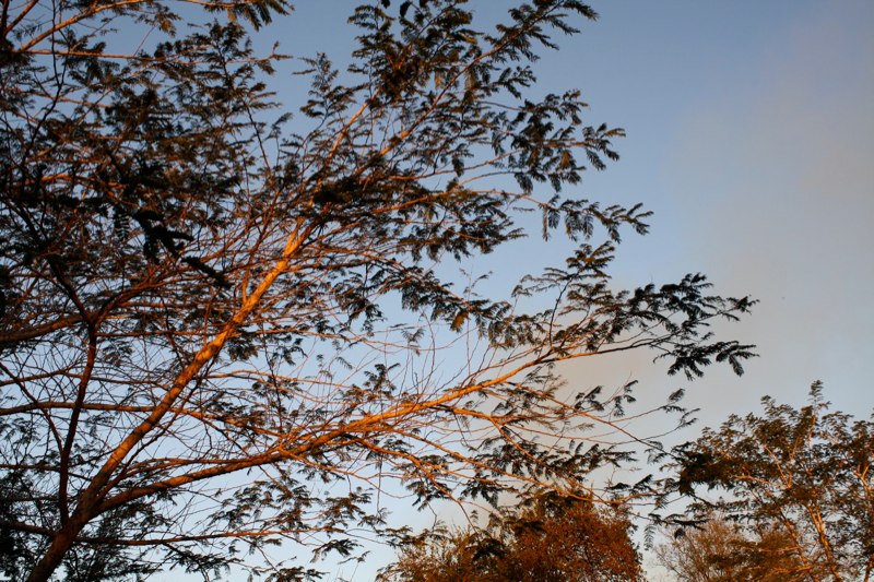 Zambia photo 64
