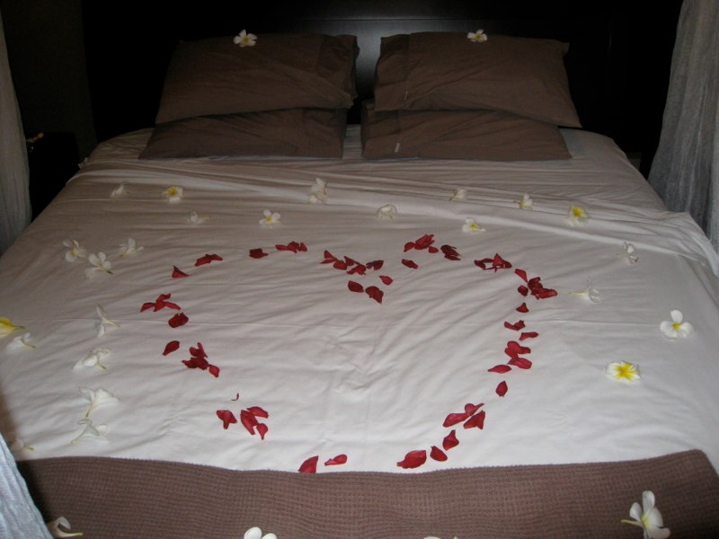 The wedding photo 55