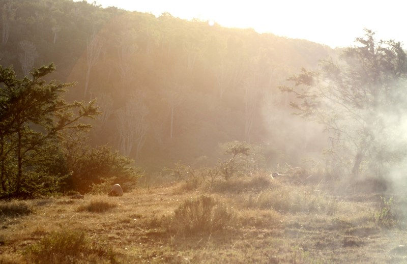 Eastern Cape, South Africa