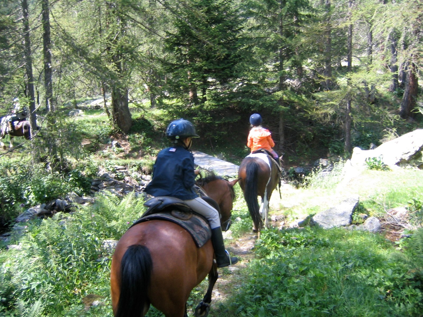 Horse back riding trip July 24 photo 15