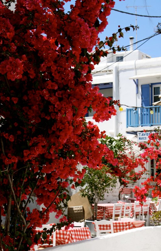 Mykonos photo 19