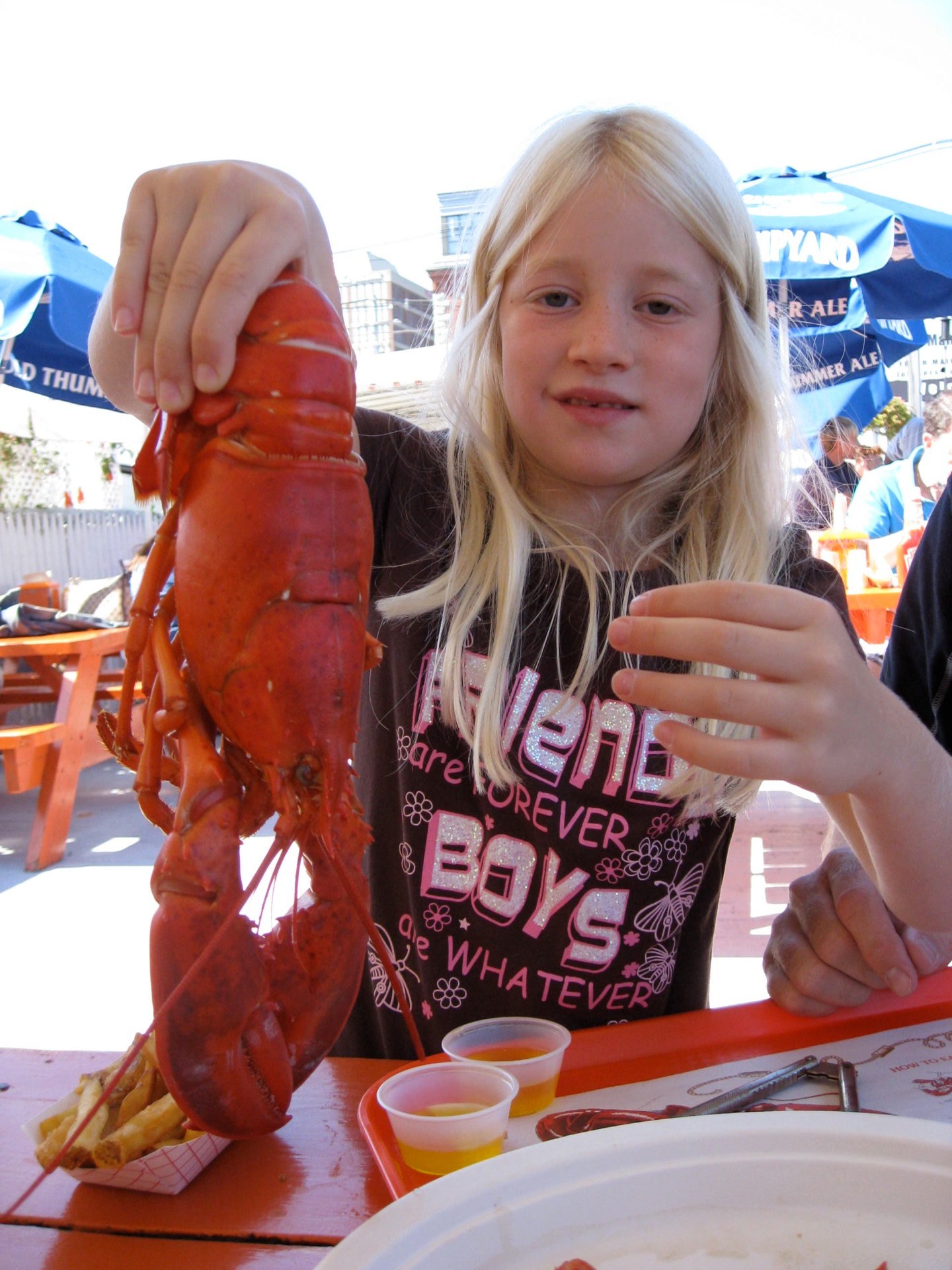 Big maine lobster
