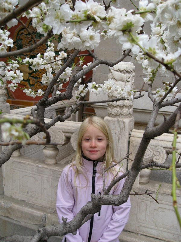 Beijing, China photo 19