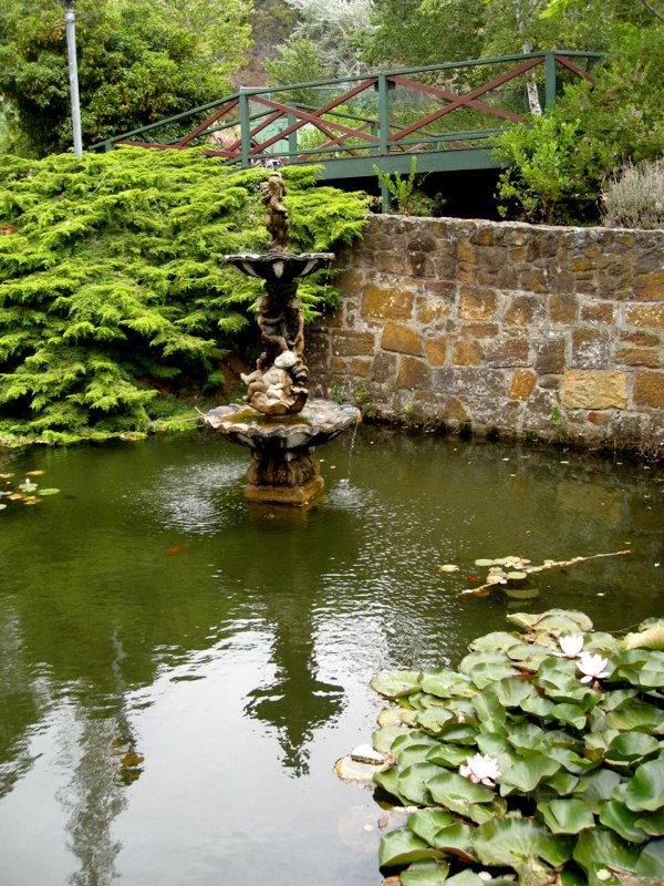 AUS-Tasmania photo 15