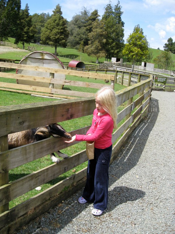NZ Coromandel photo 24