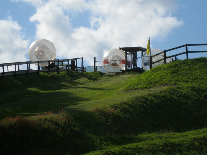 Osk and Est are going to take the Zorb