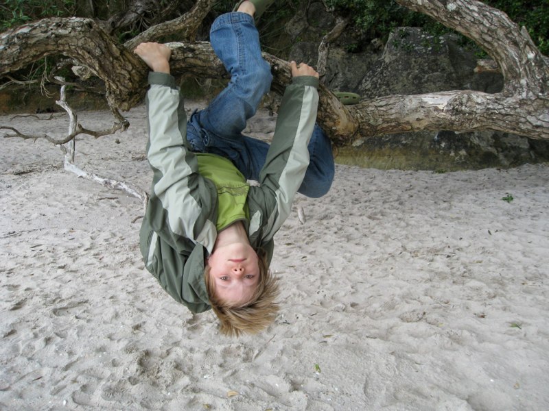 NZ Coromandel photo 48