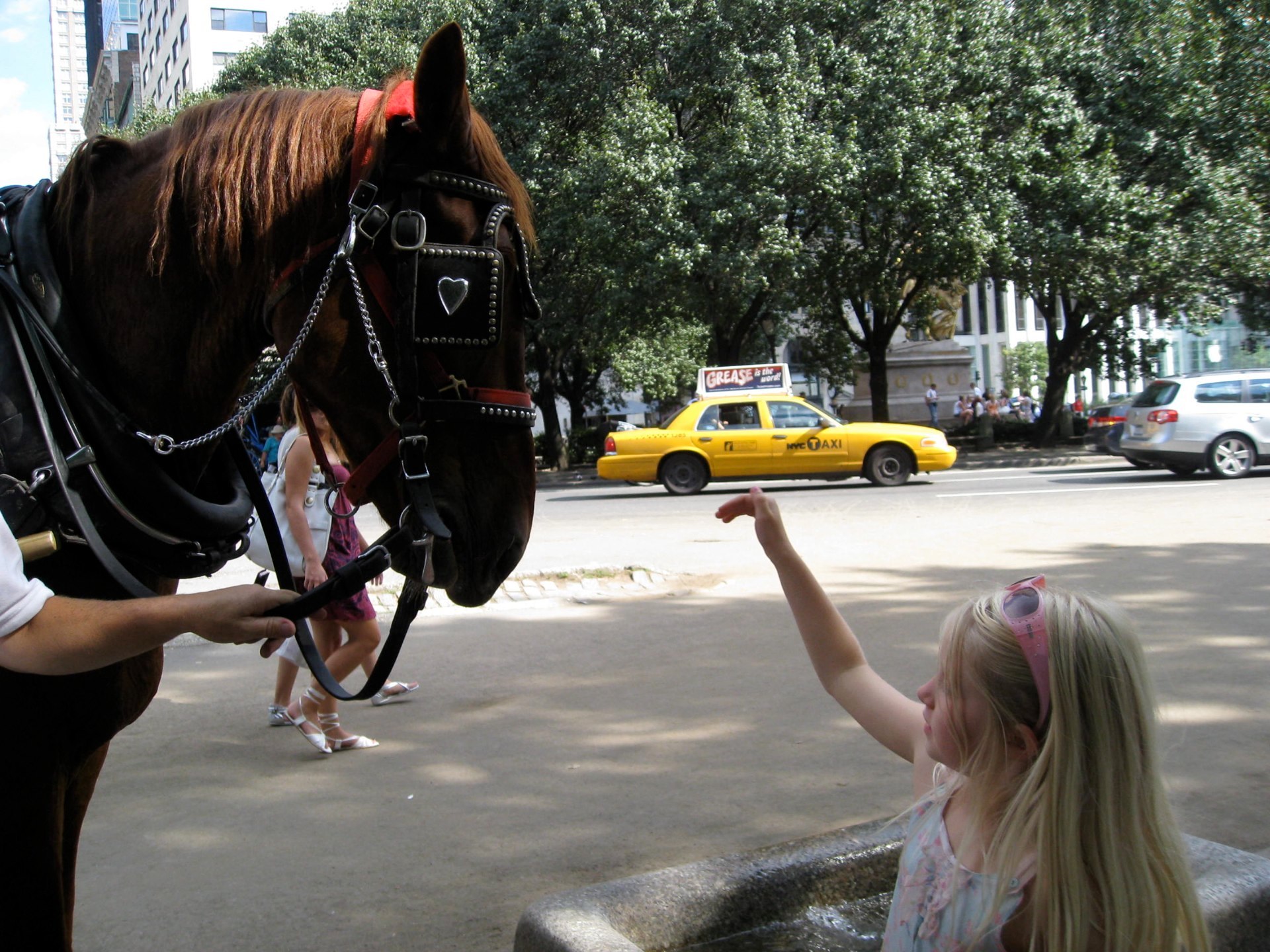 New York photo 21