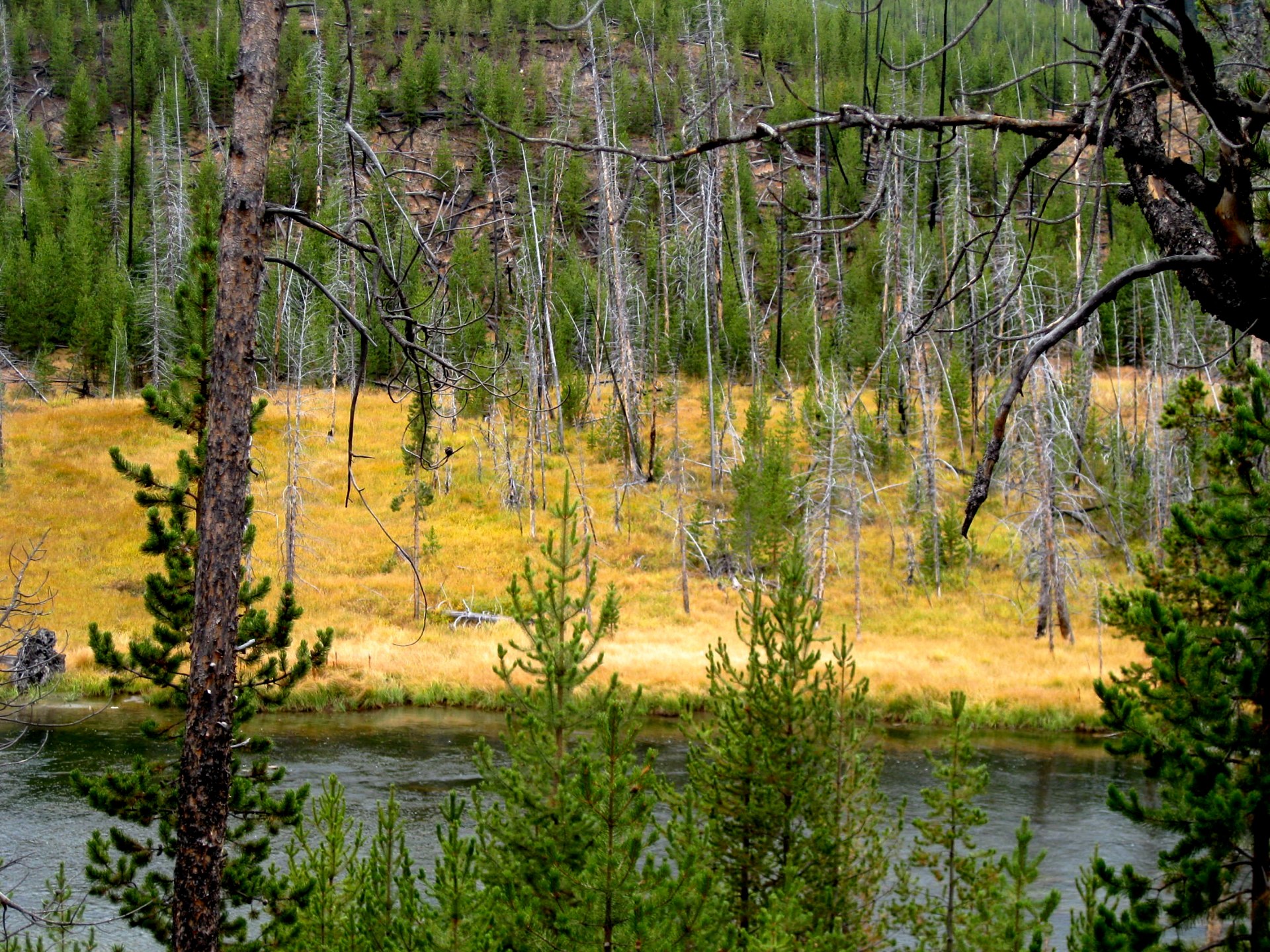 Montana photo 75