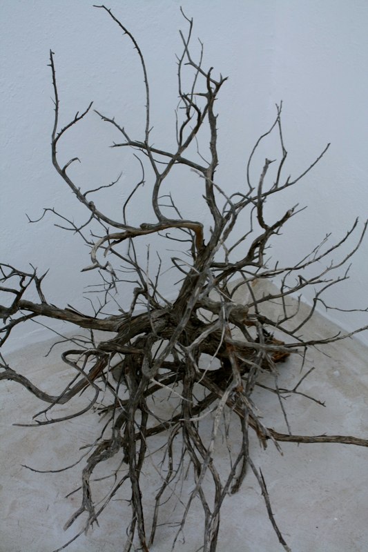 Paros photo 12