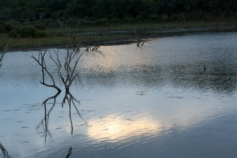 Eastern Cape photo 76