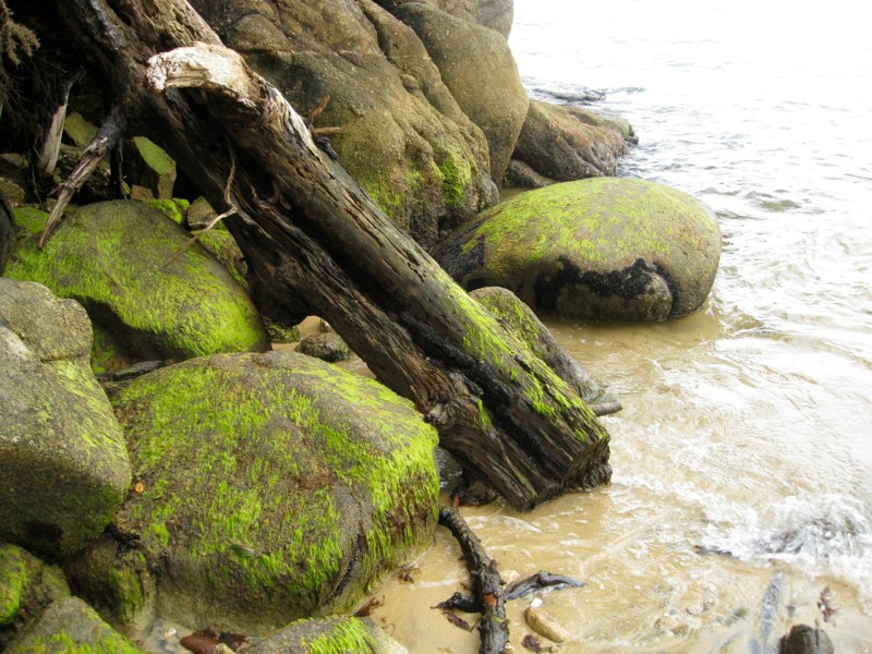 NZ Kaikoura photo 10