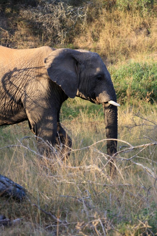 Eastern Cape photo 35