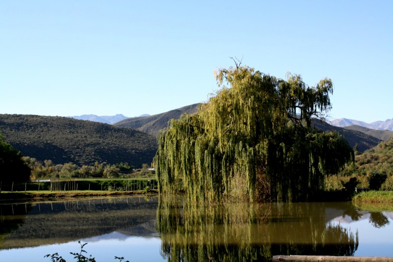 Garden Route photo 62