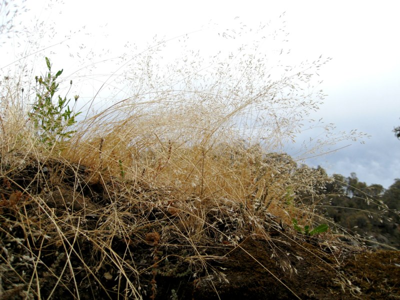 AUS-Tasmania photo 21