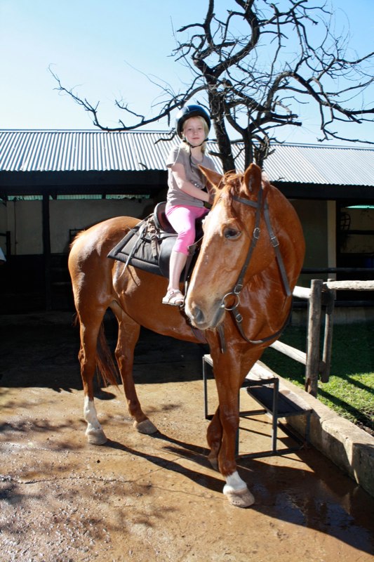 Estelle on a very big horse