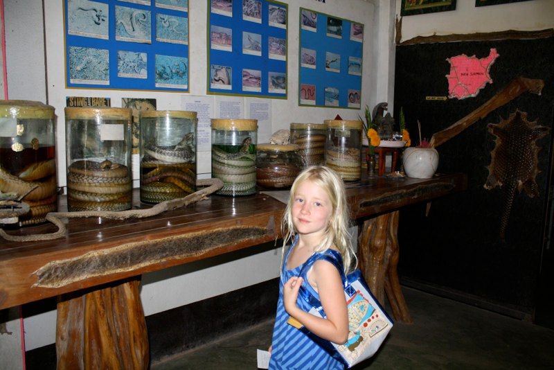 Snake farm!