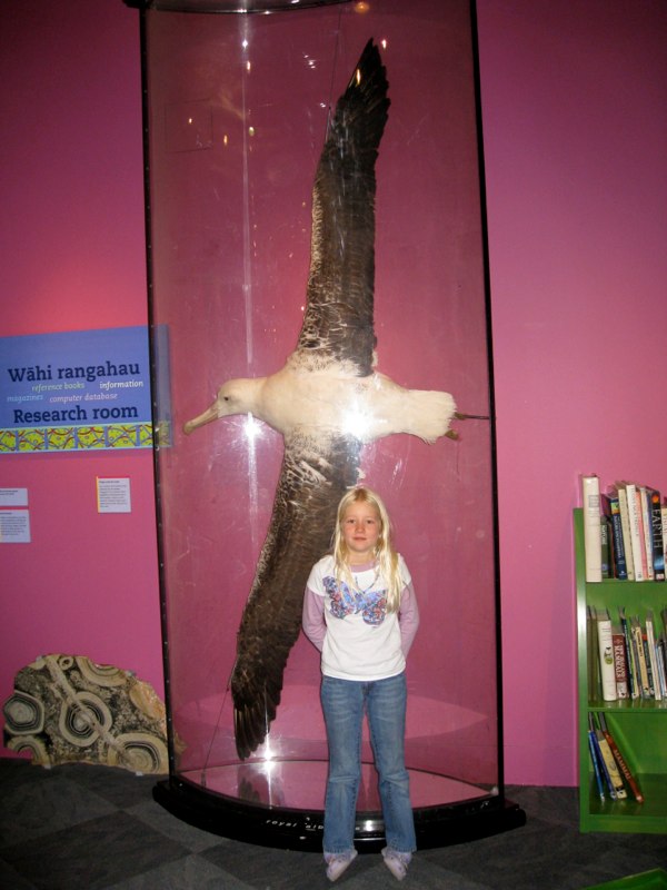 Big wings