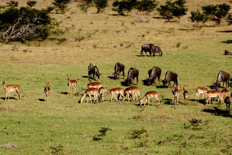 Eastern Cape photo 21