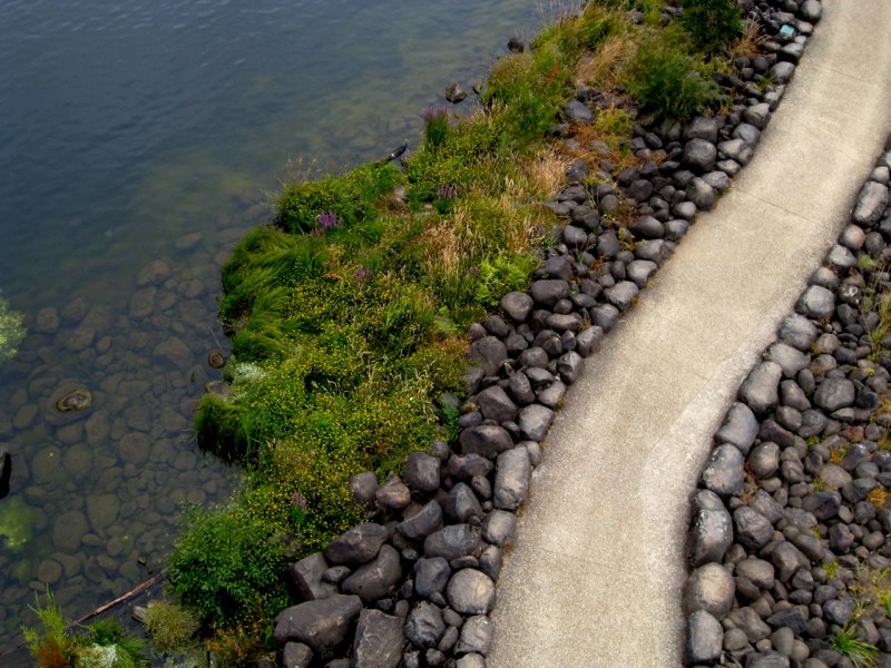 AUS-Tasmania photo 26