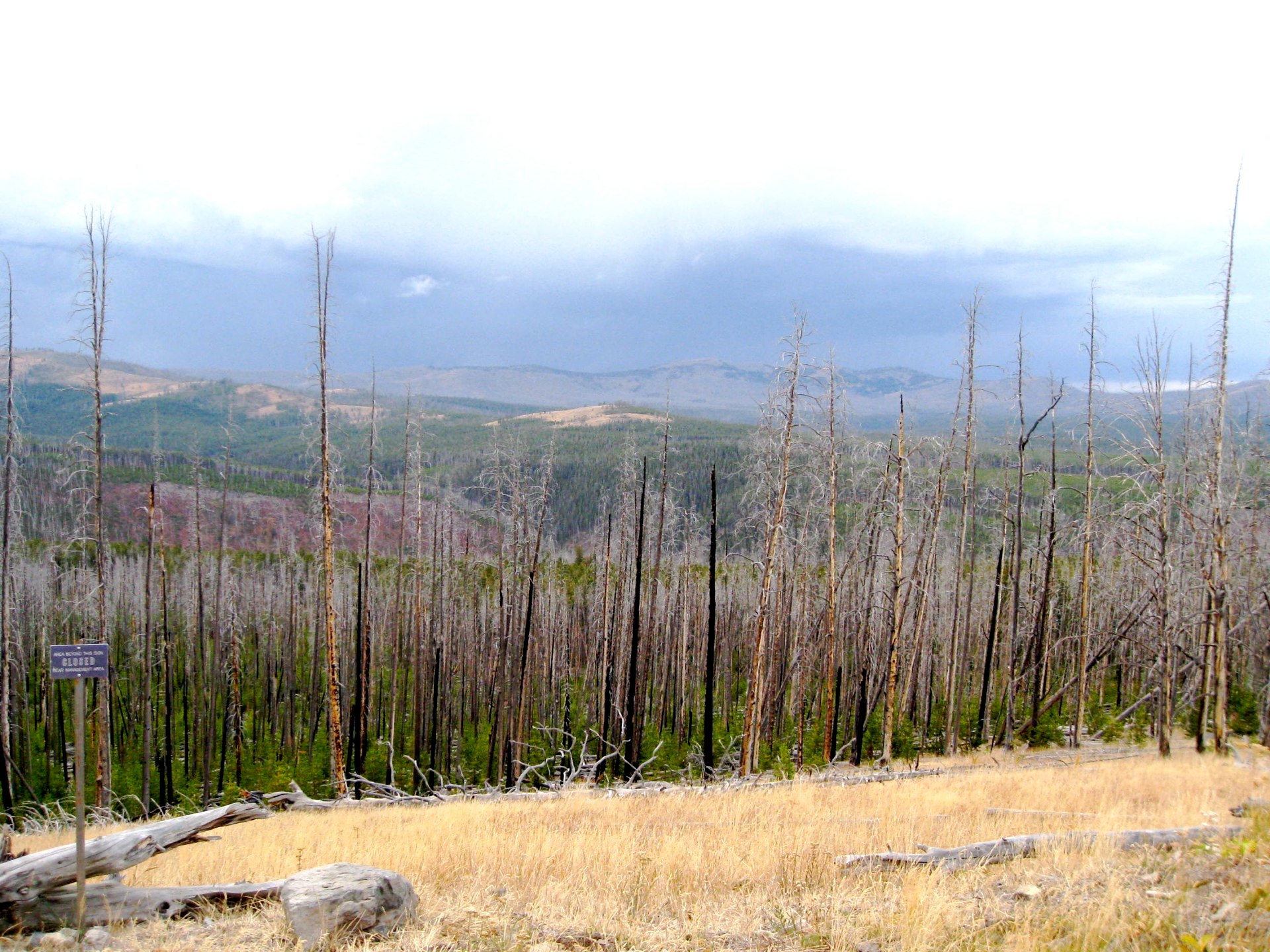 Montana photo 31