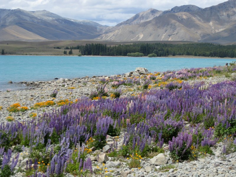 The colors where stunning
