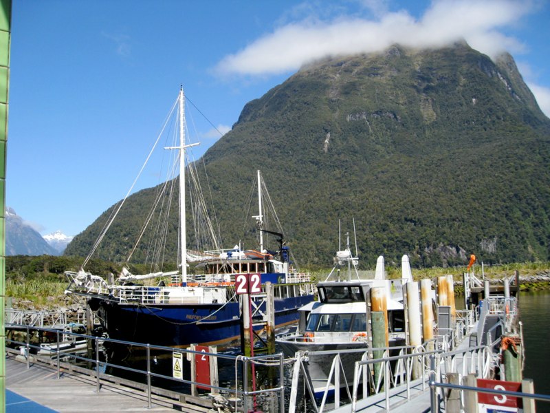 NZ Queenstown &Milford sounds photo 44