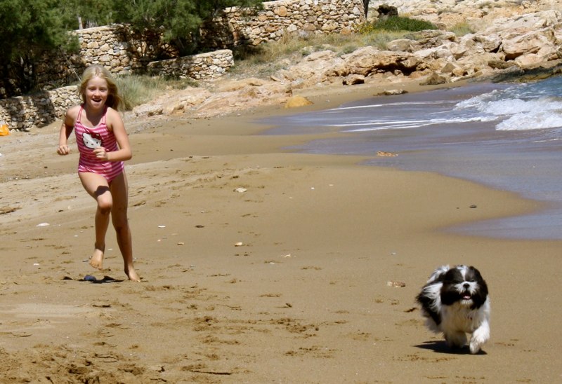 This dog just loved to race with Estelle!