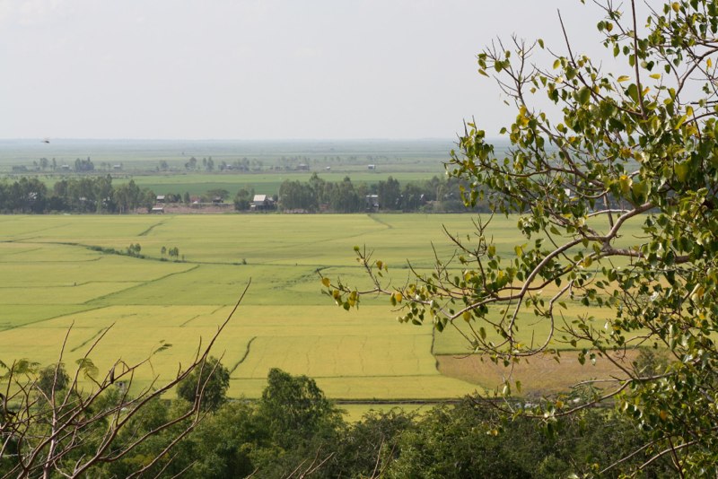 Boarder to Cambodia