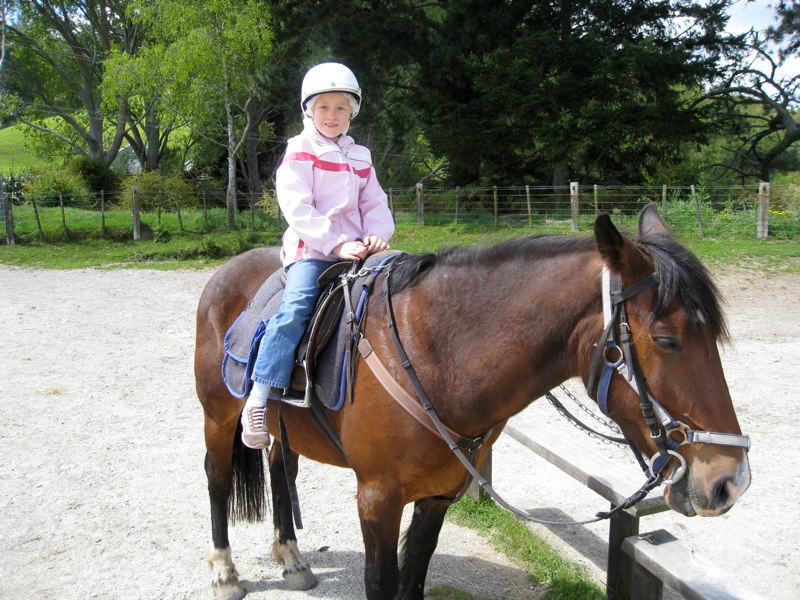Horseback riding
