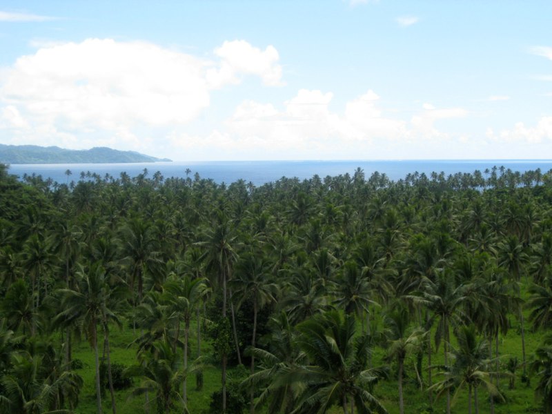 More Fiji photo 29